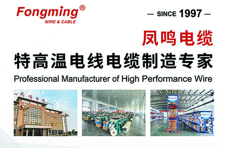Fongming Cable 丨La 133 Feria de Cantón Te esperamos en el stand